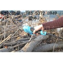 優(yōu)質園林剪切器廠家直銷
