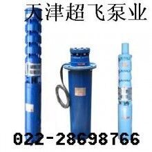 天津潛水電機(jī)，天津潛水泵