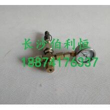 批發(fā)原裝正品攪拌機(jī)配件，三一JX3000潤滑油泵芯