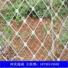邊坡防護網(wǎng)|廠家直銷全國各地各種防護網(wǎng)|護欄網(wǎng)